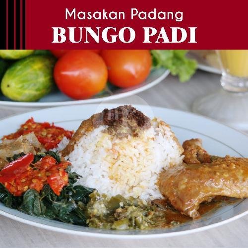 Nasi Ayam Kari/gulai menu Rumah Makan Padang Bungo Padi, Canggu