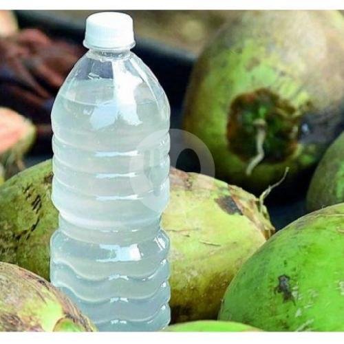 Coconut Water 1,5liter menu Coconut Juice & Fruitsalad (WARUNG KHAZANAH), Canggu