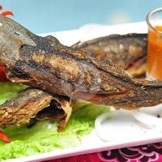 Lele Goreng Duo/ 1 Jumbo menu Seafood Berkah Laut, Cakranegara