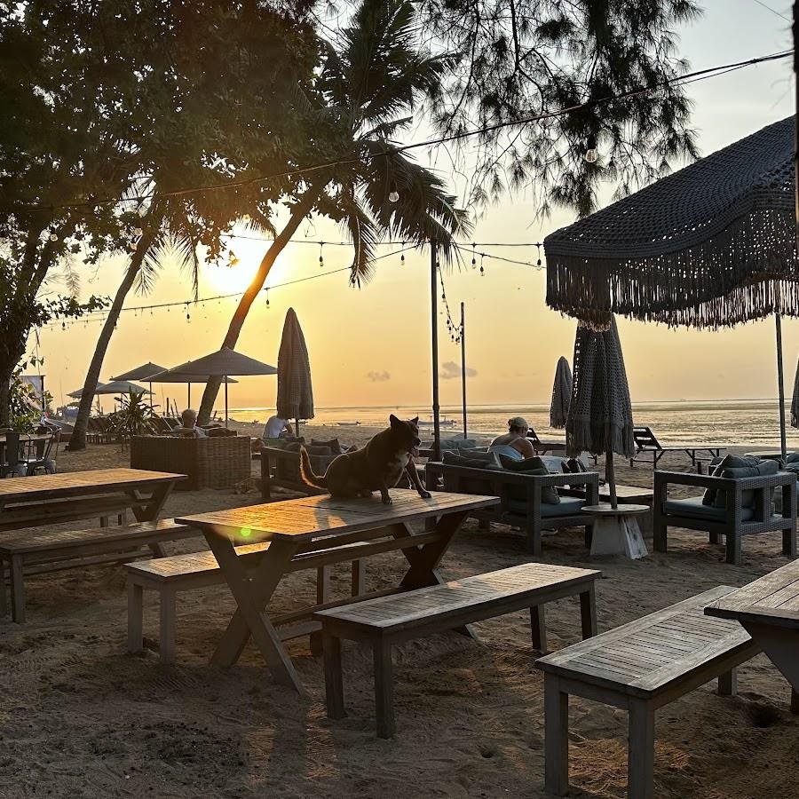 Genius Cafe Entrepreneur Beach Club