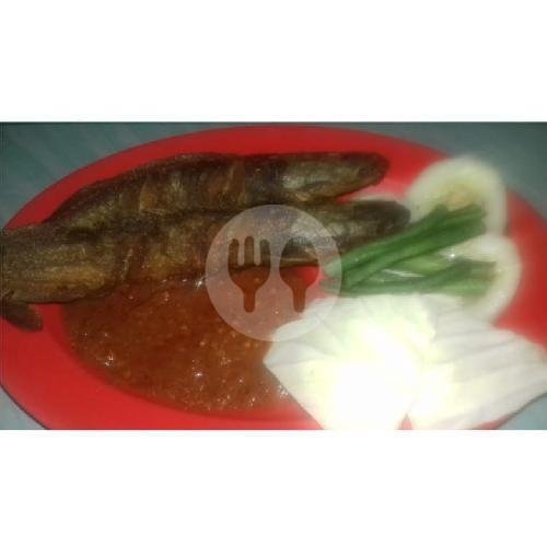 Lalapan Lele Goreng (isi 2) menu Lalapan Podo Moro Oi, Selaparang