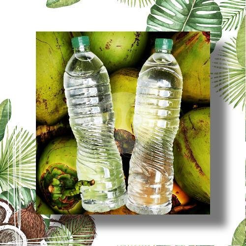 5 Btl Coconut Water 1,5lt menu Kelapa Muda Puri Coco, Berawa